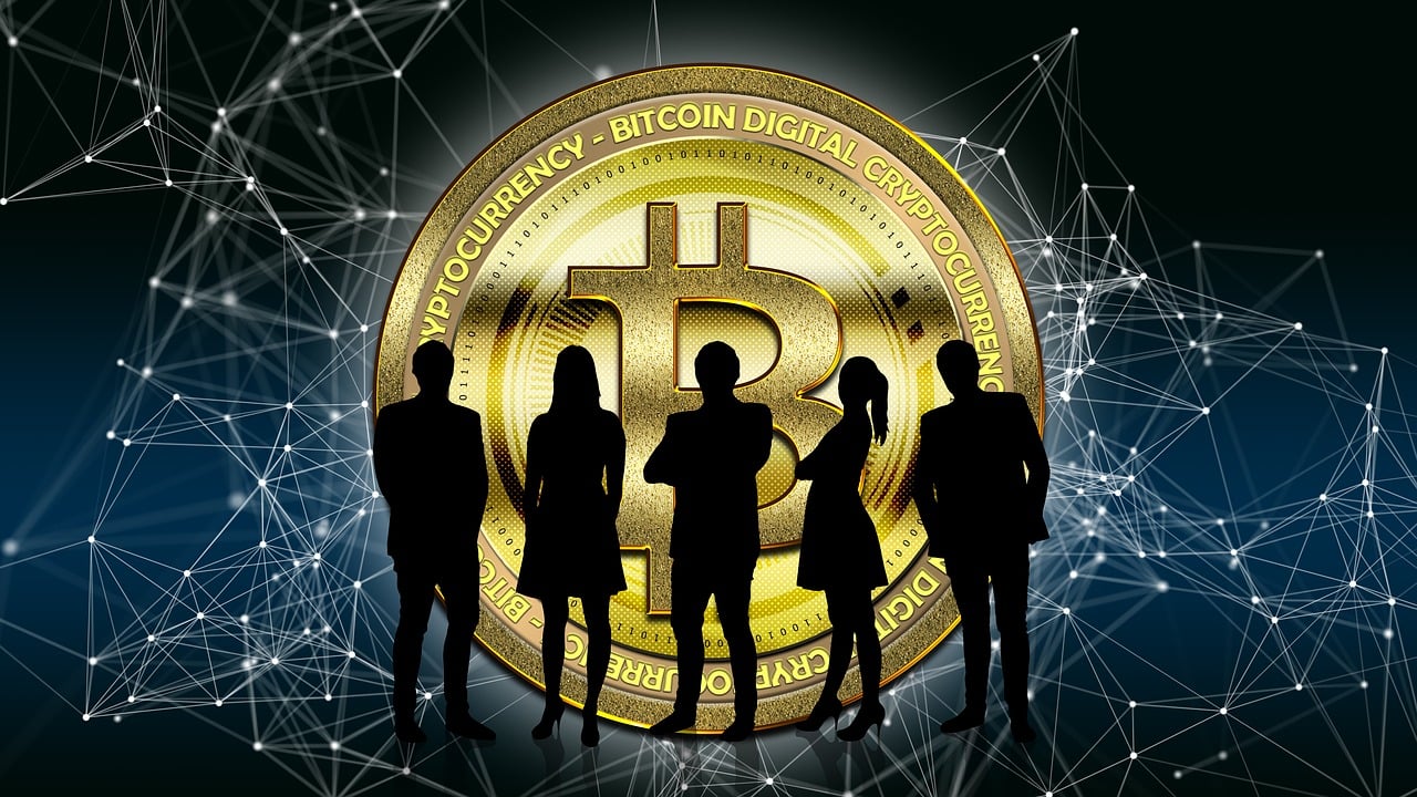 嘉实现金添利货币基金（嘉实现金添利货币基金净值）