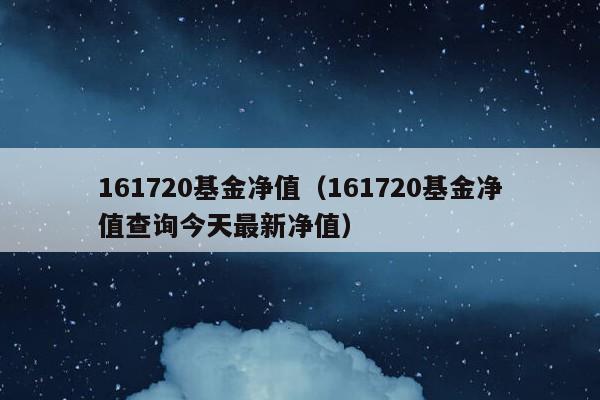 161720基金净值（161720基金净值查询今天最新净值）