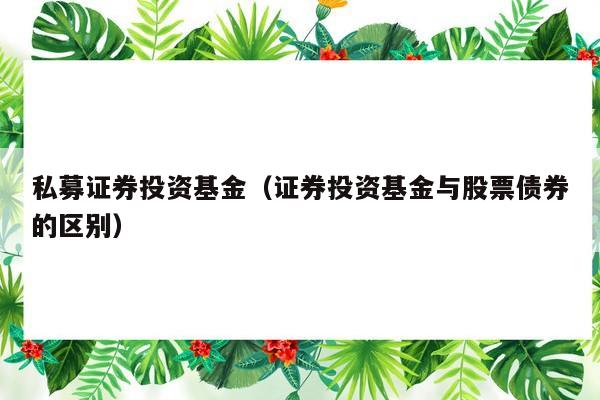 私募证券投资基金（证券投资基金与股票债券的区别）
