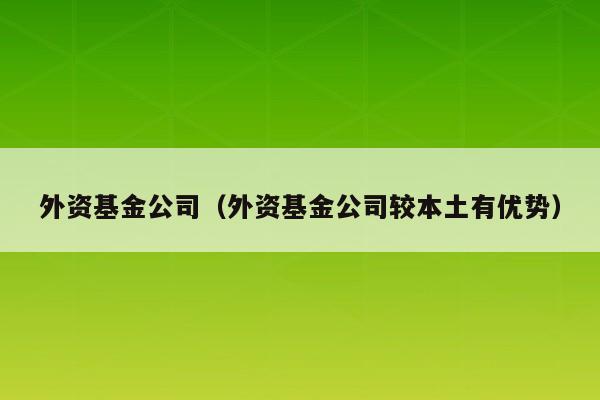 外资基金公司（外资基金公司较本土有优势）