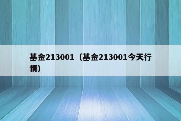 基金213001（基金213001今天行情）