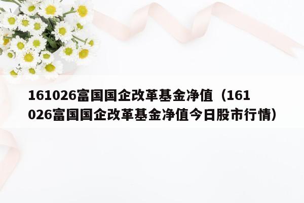 161026富国国企改革基金净值（161026富国国企改革基金净值今日股市行情）